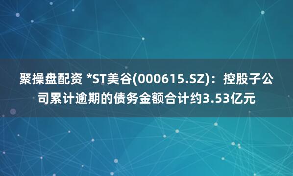 聚操盘配资 *ST美谷(000615.SZ)：控股子公司累计逾期的债务金额合计约3.53亿元