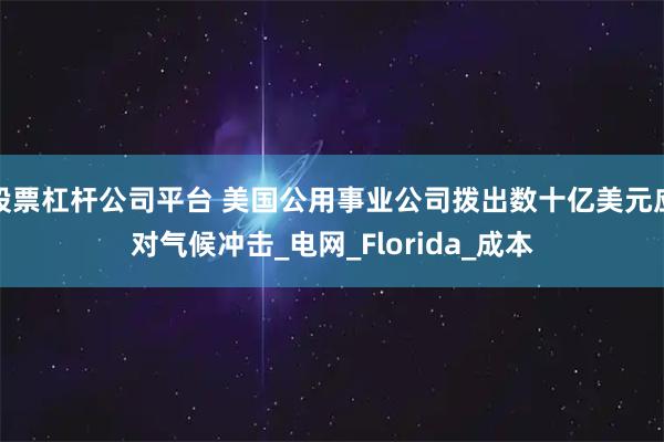 股票杠杆公司平台 美国公用事业公司拨出数十亿美元应对气候冲击_电网_Florida_成本