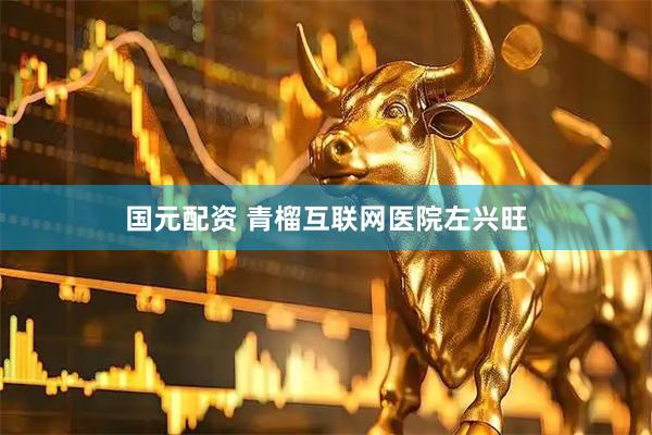国元配资 青榴互联网医院左兴旺