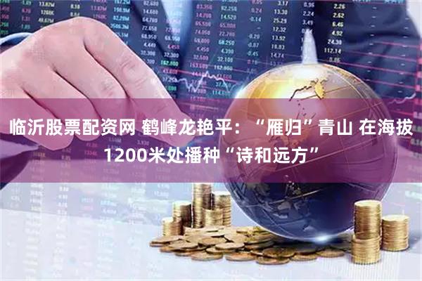 临沂股票配资网 鹤峰龙艳平：“雁归”青山 在海拔1200米处播种“诗和远方”