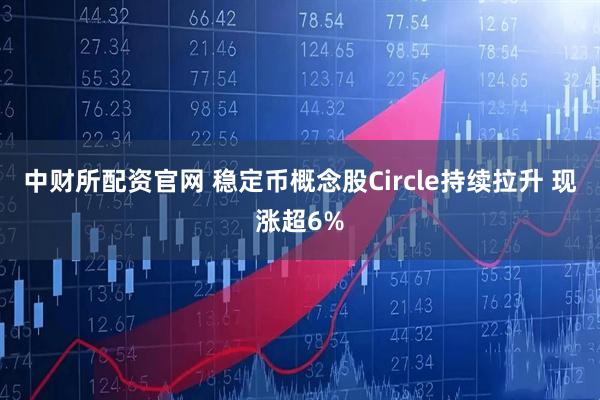 中财所配资官网 稳定币概念股Circle持续拉升 现涨超6%
