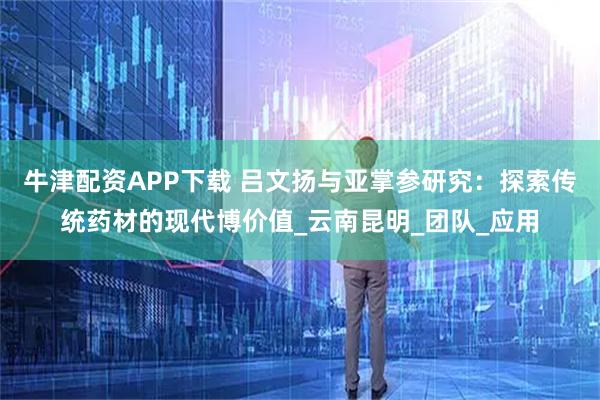牛津配资APP下载 吕文扬与亚掌参研究：探索传统药材的现代博价值_云南昆明_团队_应用