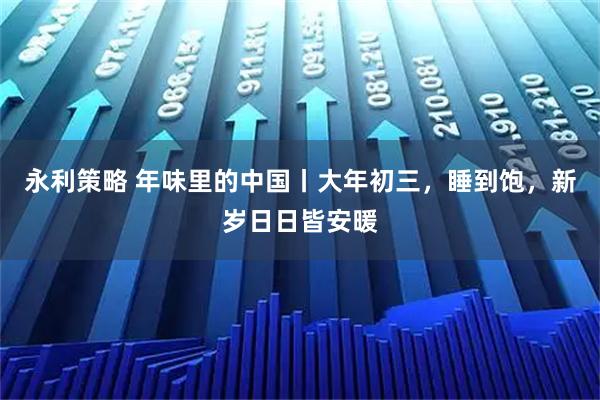 永利策略 年味里的中国丨大年初三，睡到饱，新岁日日皆安暖