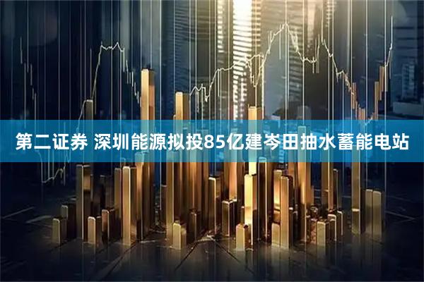第二证券 深圳能源拟投85亿建岑田抽水蓄能电站