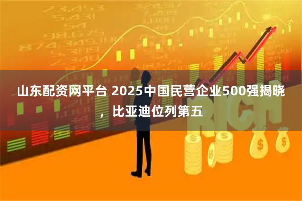 山东配资网平台 2025中国民营企业500强揭晓，比亚迪位列第五