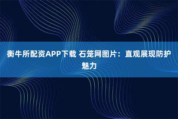 衡牛所配资APP下载 石笼网图片：直观展现防护魅力